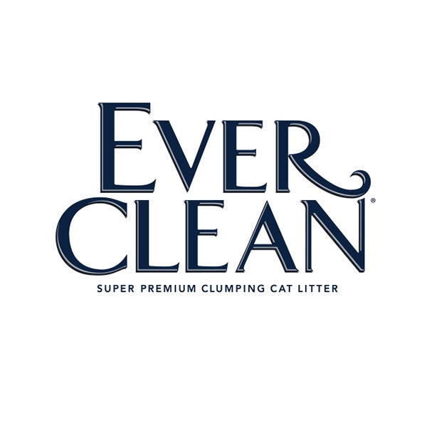 ever clean logo