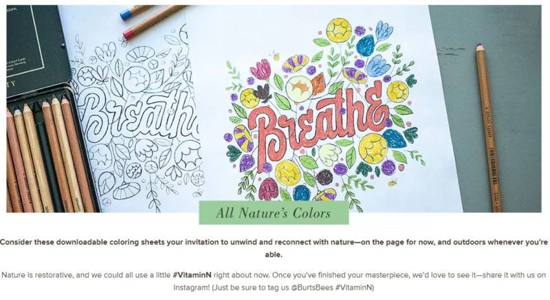 Screen shot from Burt's Bees site offering free, nature-themed coloring pages