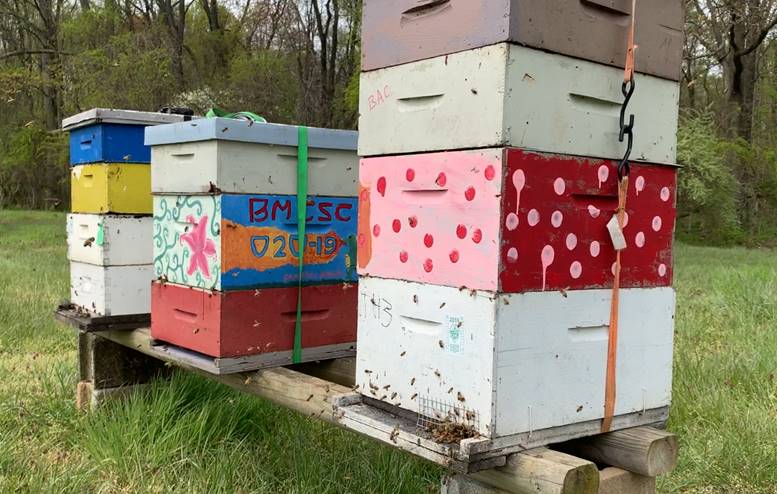 Bee hives at our plant in Aberdeen, Maryland