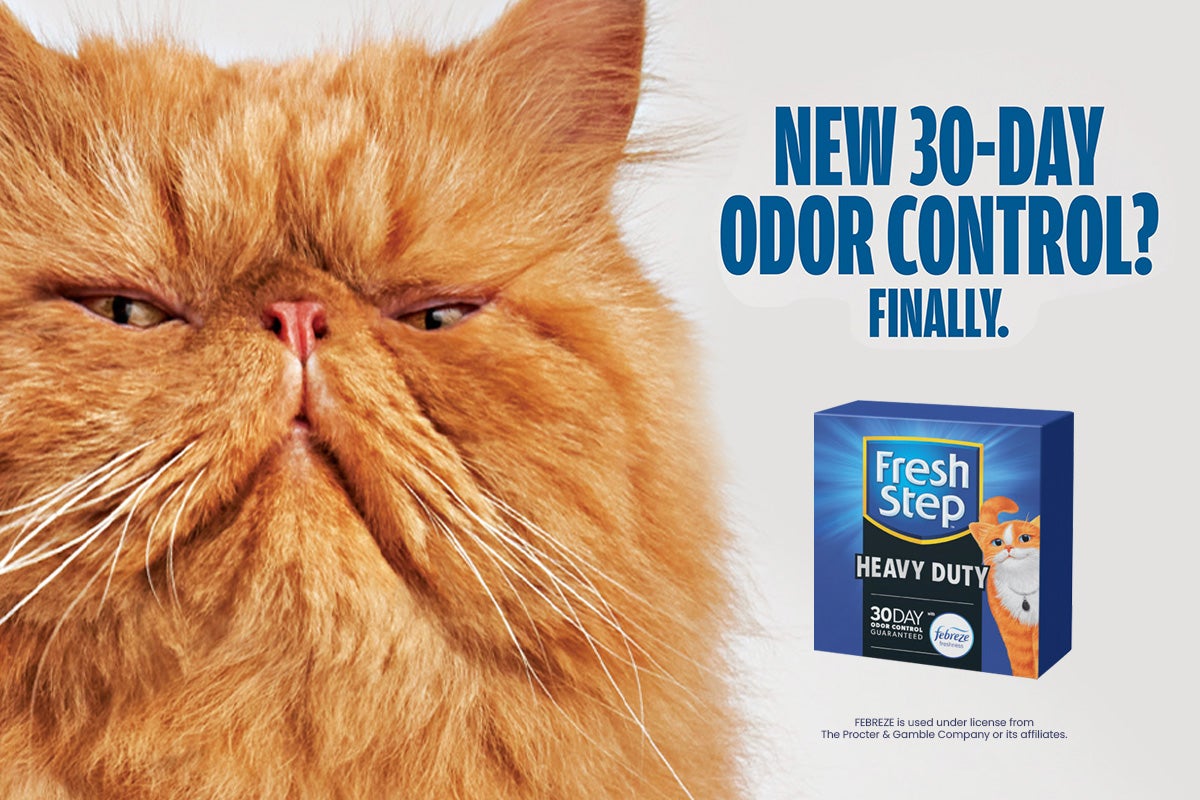 FS-Heavy-Duty_TCC-Blog-F.jpg?