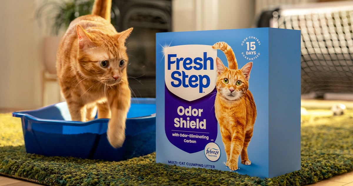 Fresh Step’s brand refresh simplifies the shelf experience for today’s ...