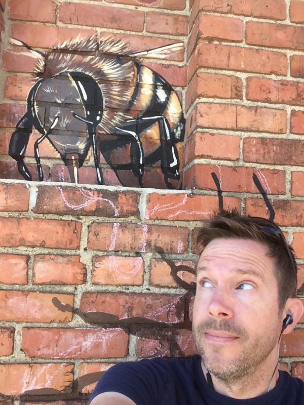 Burt's Bees honeybee health