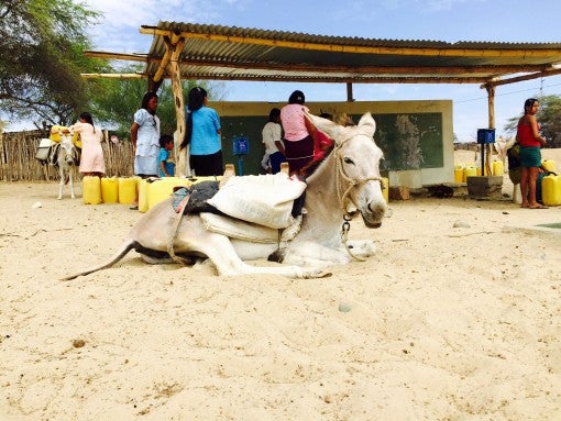 acceso a agua segura, Proyecto Agua Segura, Día Mundial del Agua