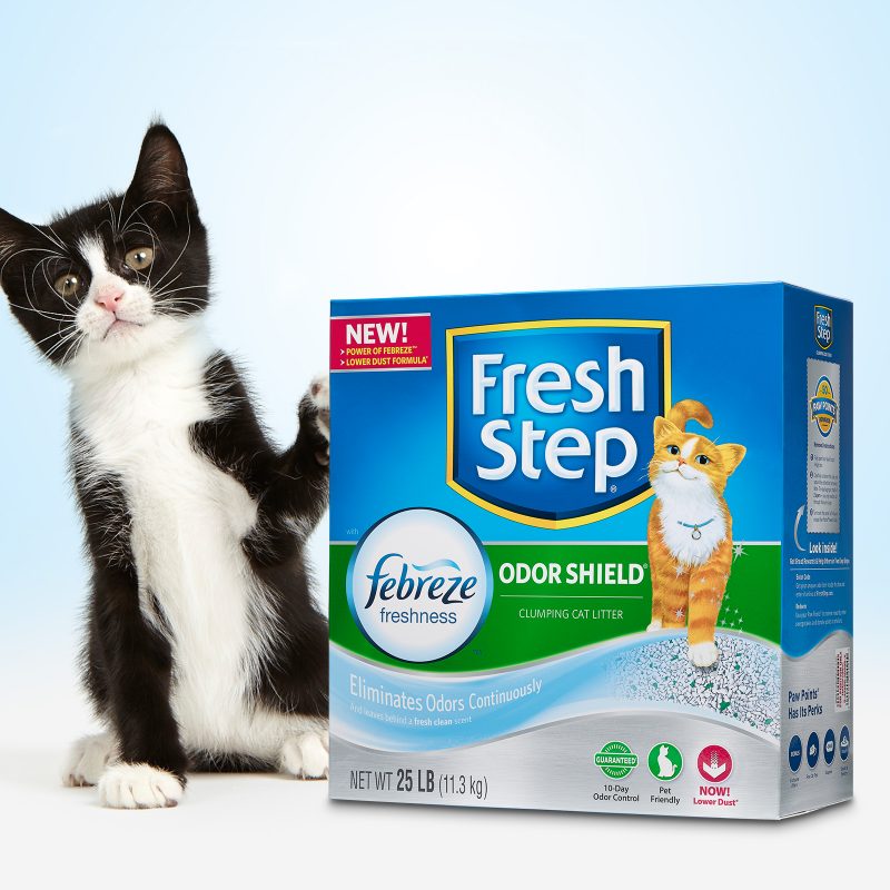 Innovation: Fresh Step Febreze