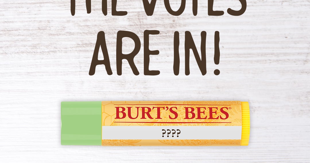 Burt’s Bees Uncaps Winning Flavor The Clorox Company